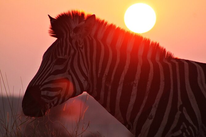 3 Day Kruger National Park Tour - Tour Overview