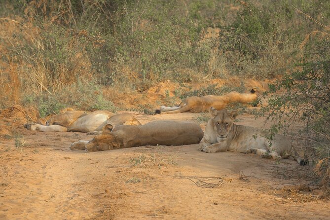 3 Day Murchison Falls (Midrange Trip – 2 People Minimum Required)