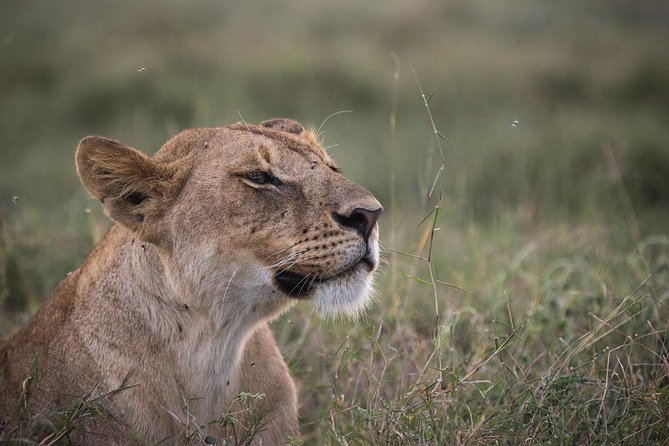 3-Day Selous Reserve Mid-Range Safari