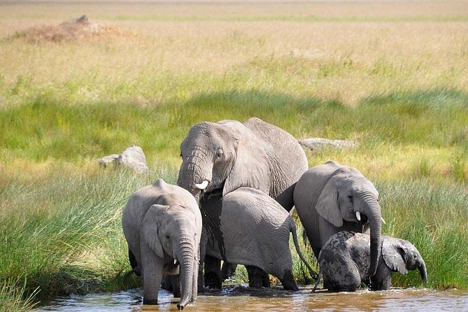 3 Day: Tarangire, Ngorongoro Crater and Lake Manyara N.P