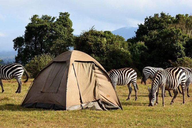 3 Days Joined Group Safari Ngorongoro,Lake Manyara and Tarangire National Park - Wildlife Encounters