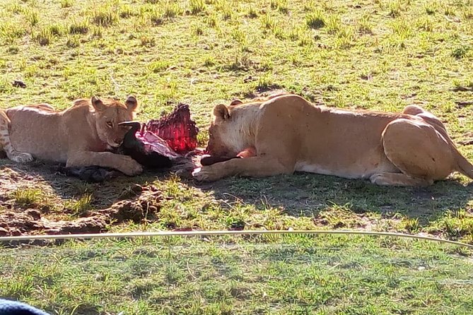 3 Days Maasai Mara Budget Group Safari