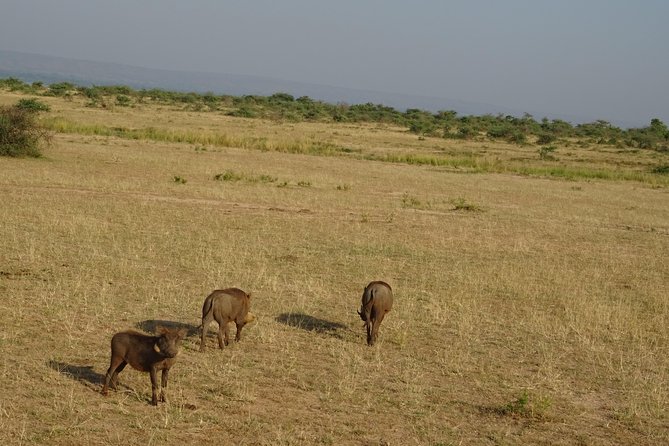 3 Days Murchison Falls Park Uganda