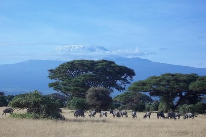 3 Days Red Elephant Safari