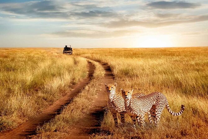 3 Days Safari to Serengeti National Park & Ngorongoro Crater in Tanzania