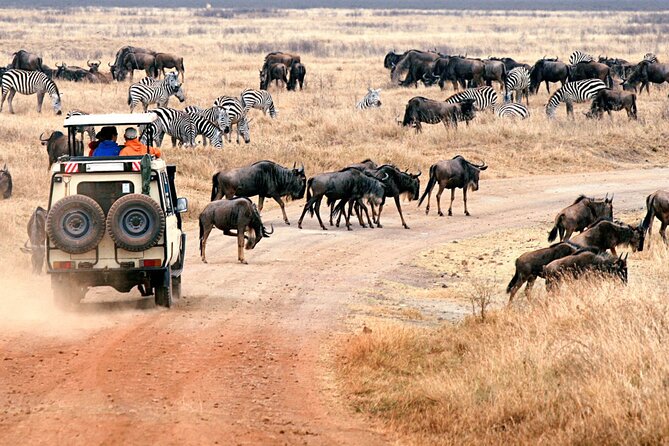 3 Days Safari to Tarangire, Ngorongoro and Manyara From Zanzibar