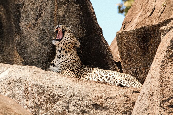 3 Days Safaris Mid-Range Serengeti Tanzania