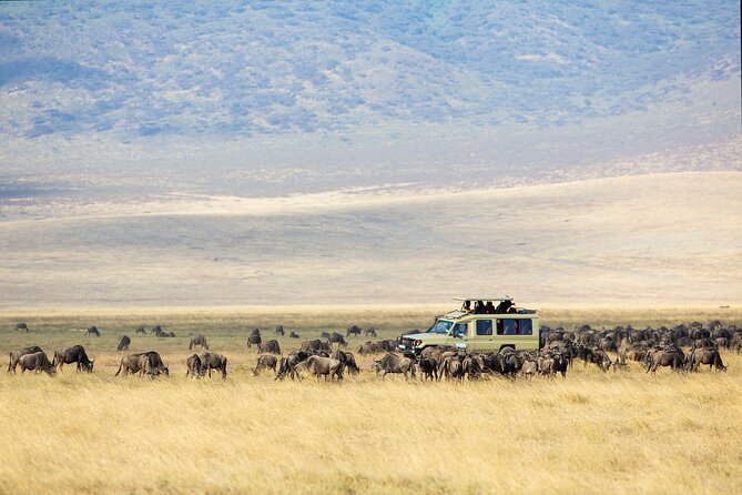 3 Days Tarangire, Manyara & Ngorongoro Budget Lodge Safari Tour Tanzania