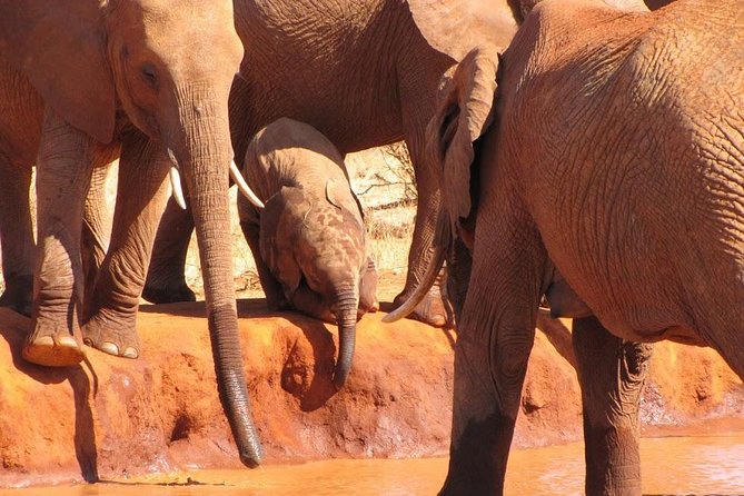 3 Days Tsavo East & Amboseli (2 Nights)