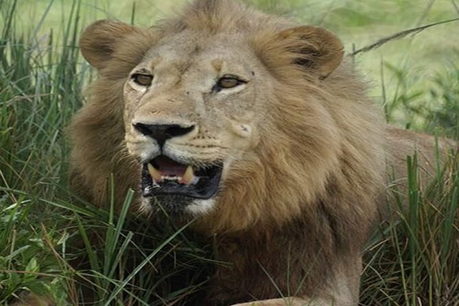 3 Days Tsavo East & West Safari From Diani Beach Mombasa