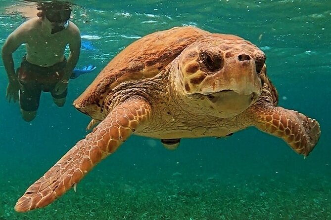 3-Hour Guided Jet Ski Snorkeling Tour on San Pedro Barrier Reef - Jet Ski Adventure Awaits