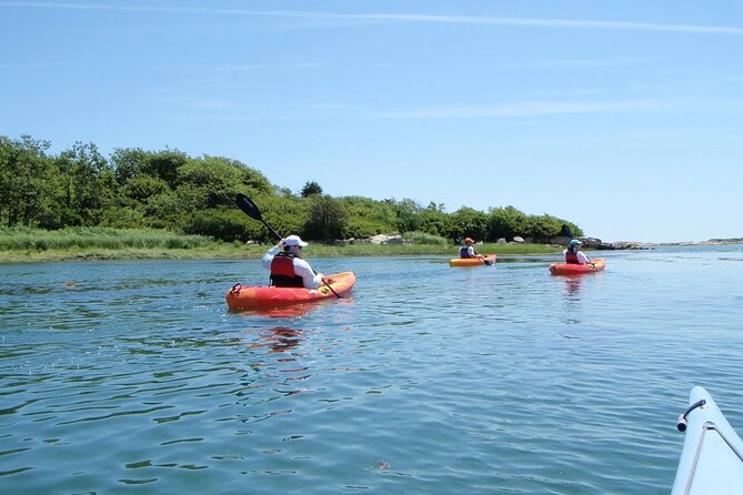 3 Hour Kayak/SUP Rental in Cape Porpoise Harbor - Overview of the Rental Experience