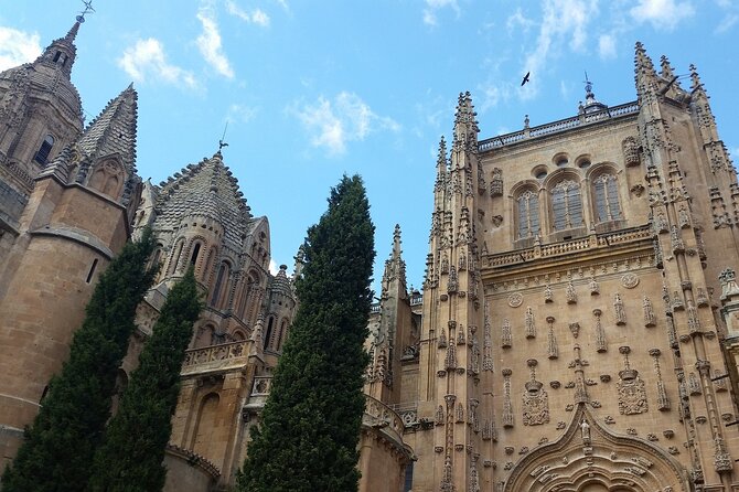 3-hour Private Tour of Salamanca