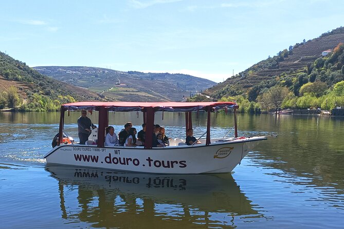 3-Hour Tour to Discover Pinhão - Moment of Discovery