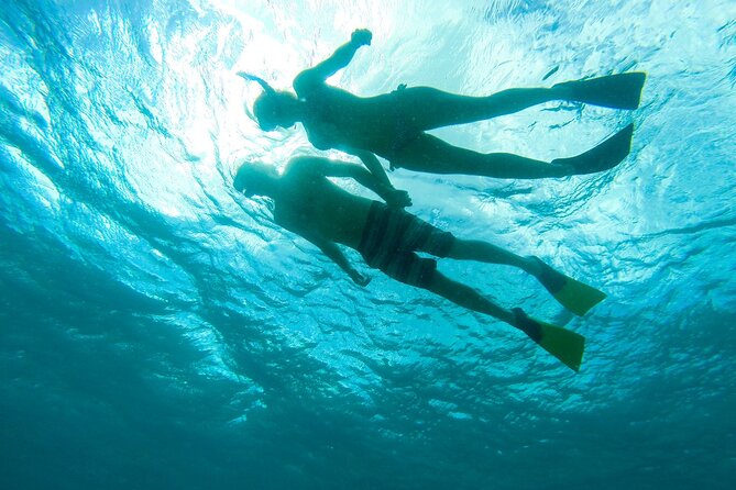3 Hours Morning Snorkel Sail From Frenchmans Reef