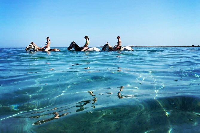 3 Hours Swimming By Horse in Red Sea Riding on the Beach and Dessert - Hurghada - Activity Details