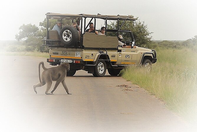 3 Night & 4 Day Private Kruger Park Safari - Explore Kruger National Park