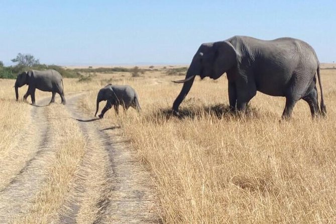 3days/2nights Group Joining Masai Mara