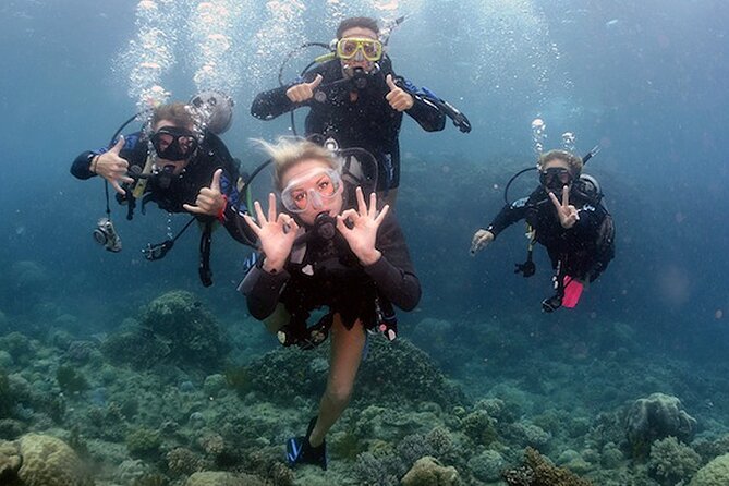 4 Day Certified PADI Open Water Scuba Diver in Dubai - Overview of the PADI Open Water Diver Course