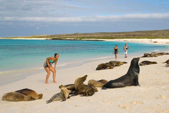 4-Day Galapagos Land Tour: San Cristobal and Santa Cruz Island - Tour Overview and Details
