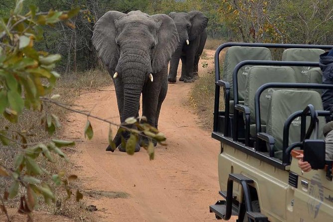 4 Day Greater Kruger Kapama Game Lodge Safari With Panorama Route Journey - Tour Overview