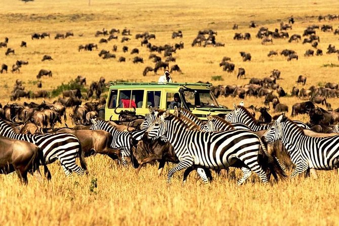 4 Day Mid-range Safari Serengeti , Ngorongoro and Tarangire National Park