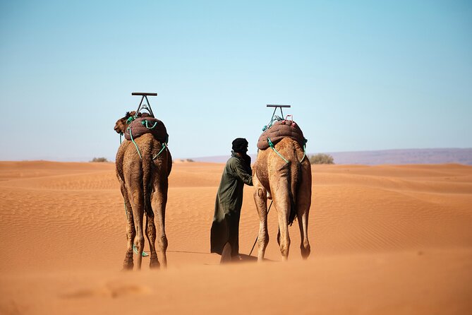 4 Day Private Desert to Merzouga From Marrakech