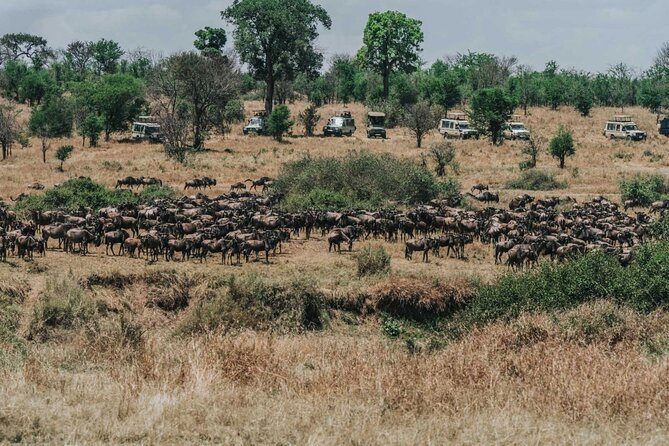 4-Day Private Tour in Masai Mara