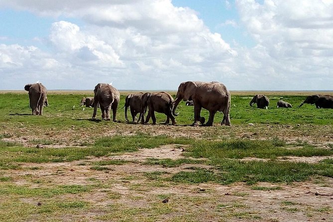 4-Day Safari: Lake Manyara, Serengeti & Ngorongoro
