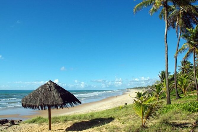 4-Days Experience at Salvador De Bahia, Savour the Cultural Fusion – Brasil