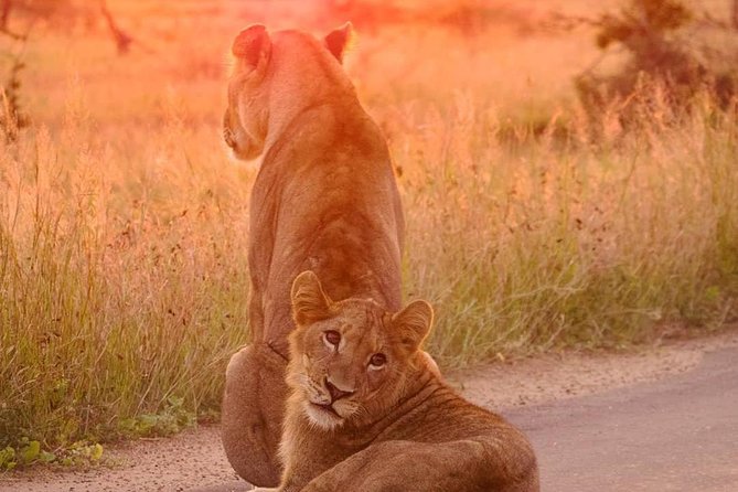 4 Days Kruger Park Big 5 Safari and Awesome Panorama Route