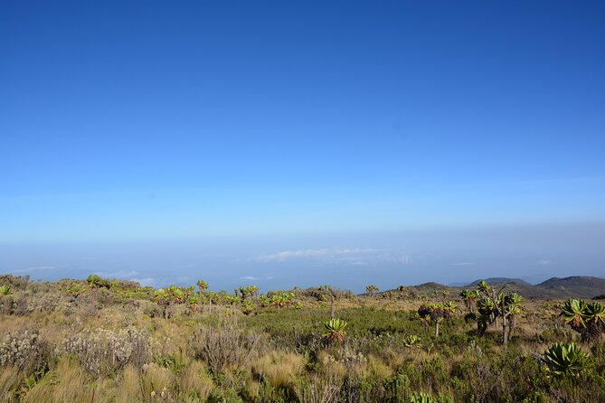 4 Days Mount Elgon Trek, 4321M A.S.L