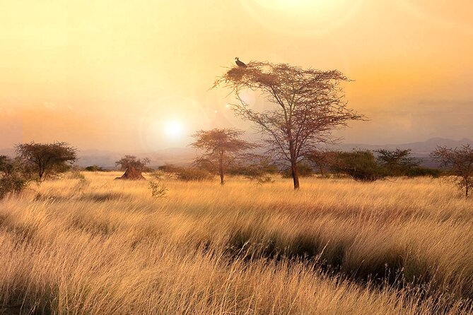 4 Days Trekking to Simien Mountain National Park