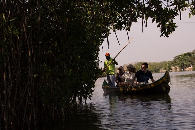 4-Hour Fishing Experience With Locals Near Cartagena - Unforgettable Lagoon Fishing Adventure
