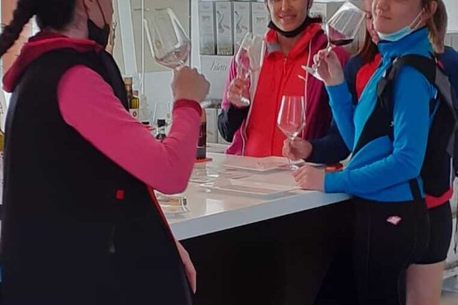 4-Hour Guided E-bike Tour of the Two Wineries in Bardolino
