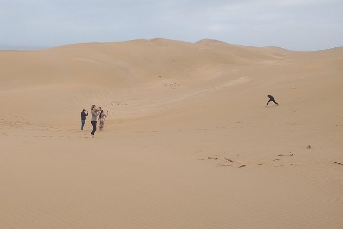 4 Hours.Agadir : Trip to Sahara and Tifnit Fishing Village
