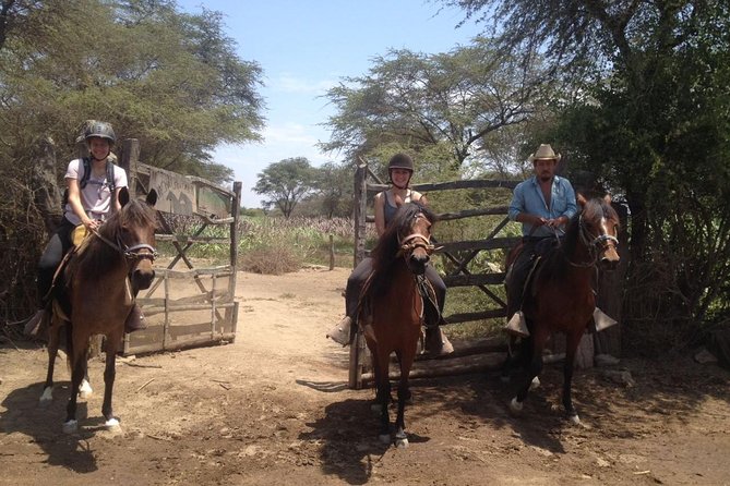 4-Hours Horse Riding, Inca Pyramids in Worlds Largest Dry Forest