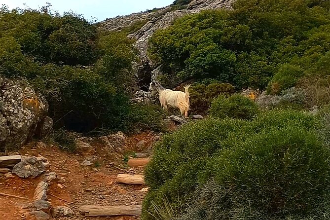 4 Hours Private Hiking on the Strouboulas Mountain, Heraklion