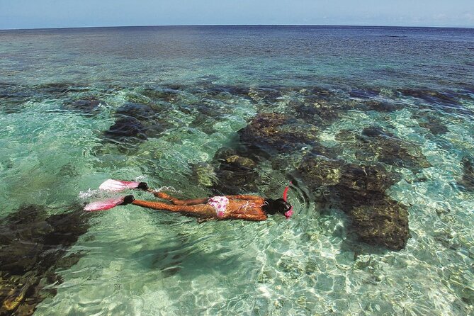 4 Hours Private Tour With Snorkel Experience in Roatan