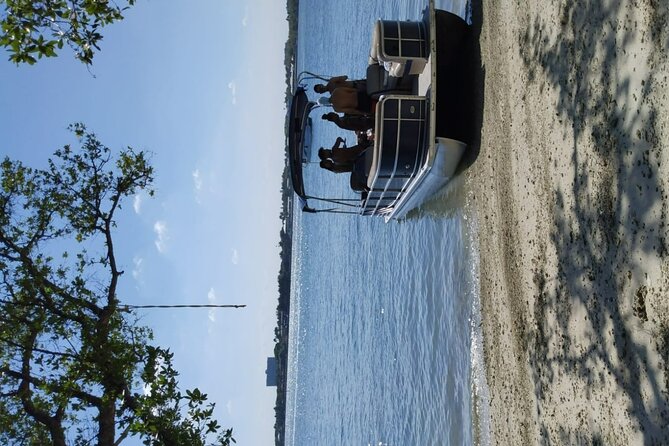 4 HR Pontoon Boat Rental - Rental Overview