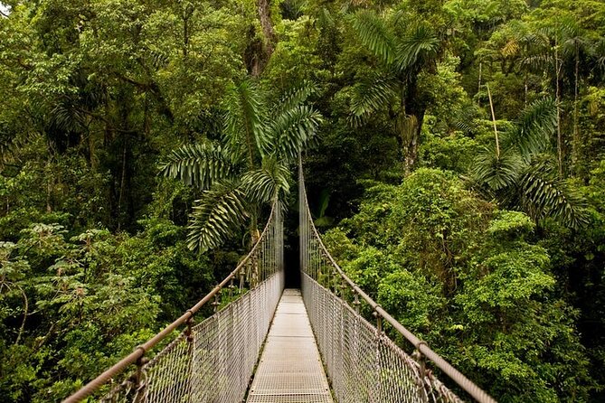 4-in-1 Arenal Hanging Bridges, La Fortuna Waterfall, Volcano Hike & Hot Springs - Exploring the Arenal Hanging Bridges