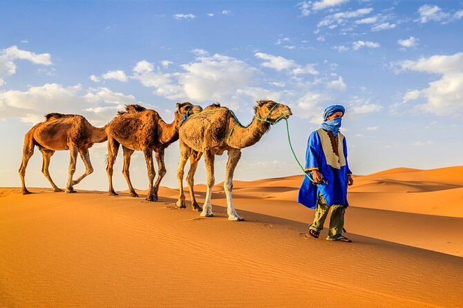 5 Day Private Morocco Tour From Casablanca - Inclusions and Amenities