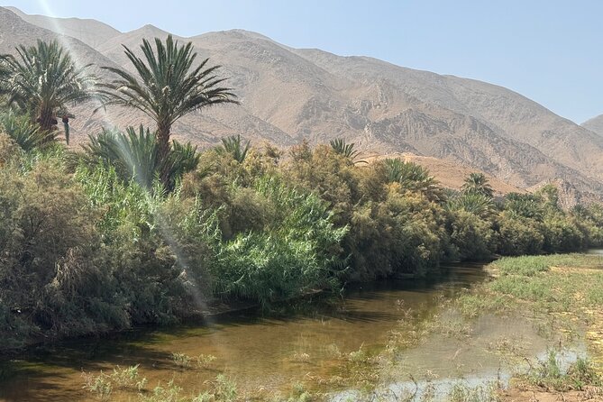 5-Day Private Tour to Sahara and Ergchebbi From Marrakech