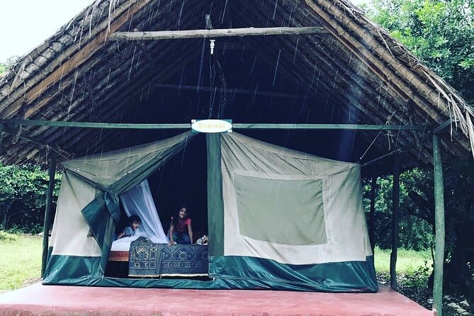 5-Day Safari in Maasai Mara, Lake Nakuru and Naivasha
