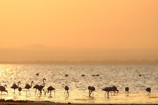 5 Day: Scenic Northern Circuit Safari