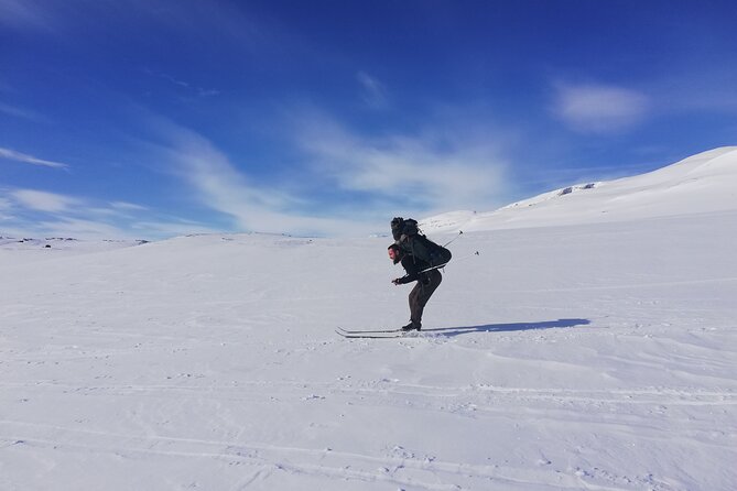 5-Day Ski Touring Expedition Between Sweden and Norway