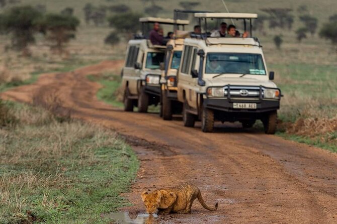 5-Day Tanzania Camping Safari