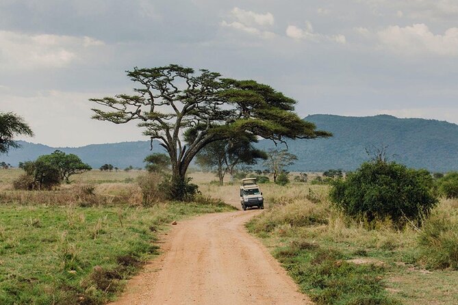 5 Days Fantastic Tanzania Lodge Safaris