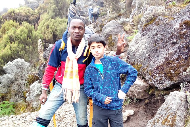 5 Days Marangu Route - Mount Kilimanjaro Trek - Overview of the Trek