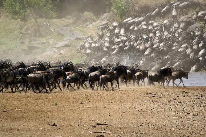 5 Days Safari Adventure in Tanzania